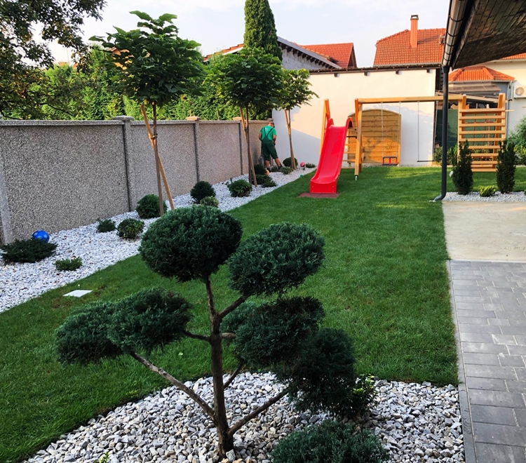 Najbolje biljke za dvorište